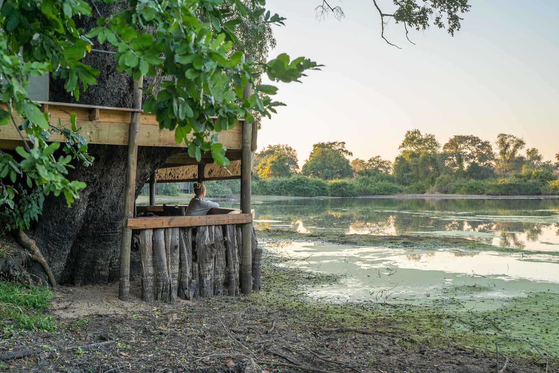 African Bush Camps Kanga Camp Kanga Camp, Mana Pools, Zimbabwe