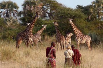 ngorongoro walking safari