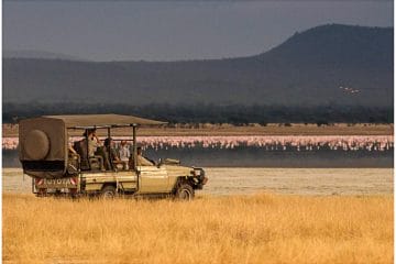 vip tour serengeti park