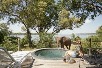 african safari home