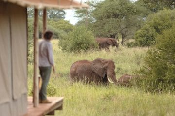 best east african tours