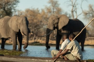 africa safari in january