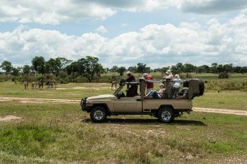 safari tanzania march
