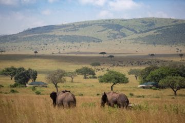 vaccin pour safari kenya