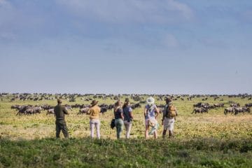 ngorongoro tanzania big five safari hotspot