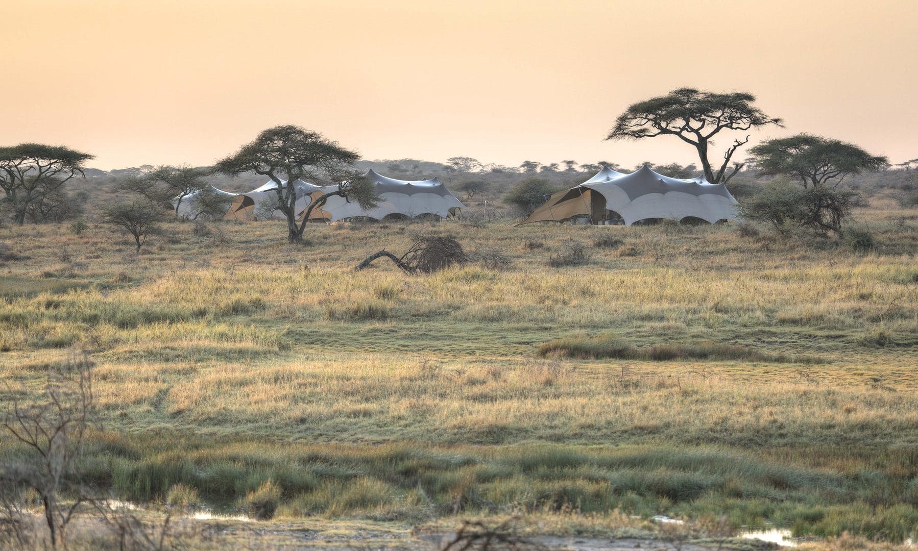 Namiri Plains Camp Namiri Plains Camp, Serengeti National Park, Tanzania | Discover Africa