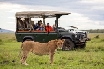 safari com offers