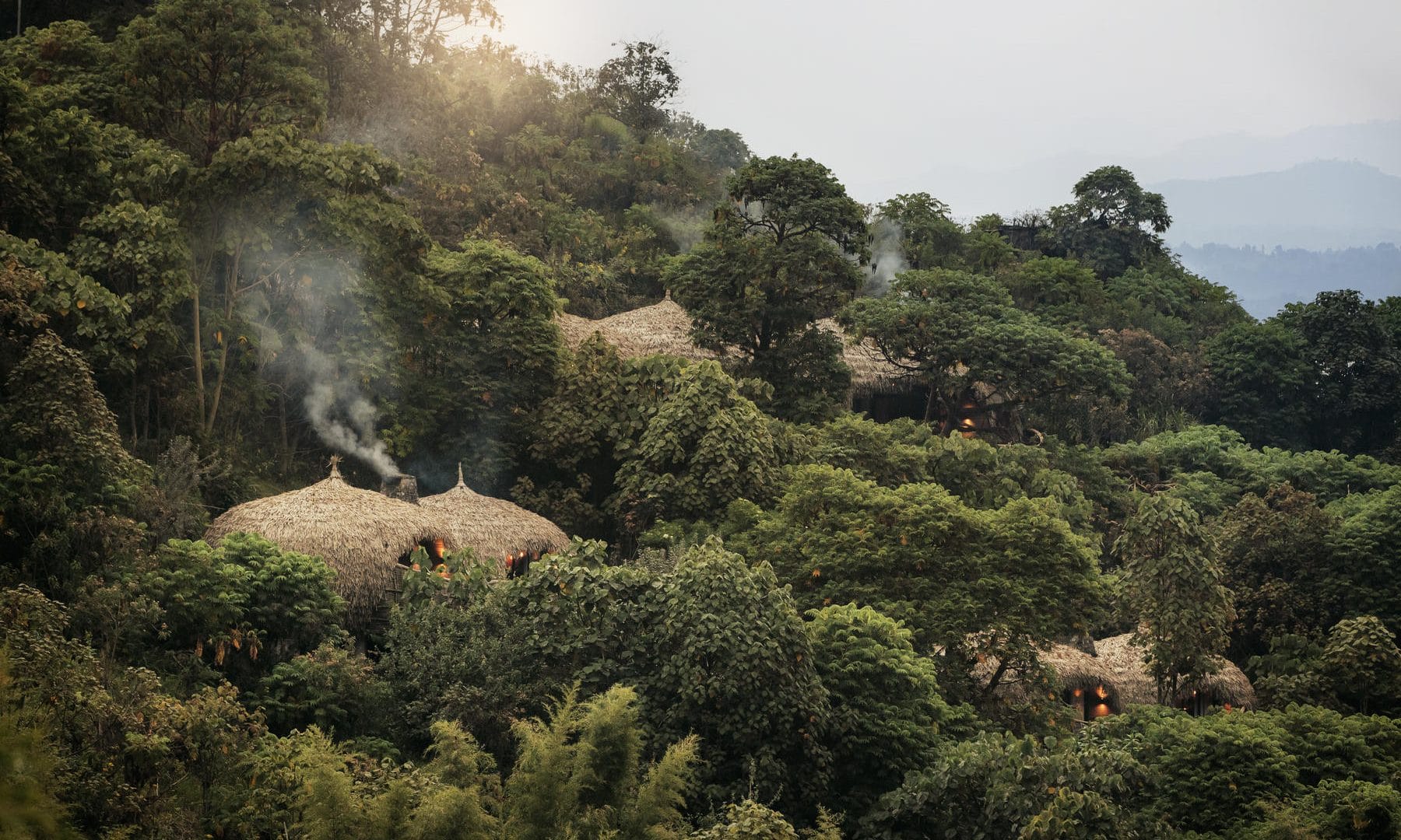 wilderness safaris bisate lodge rwanda