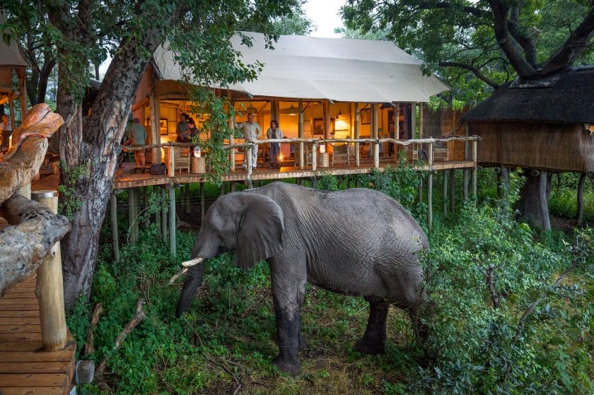 botswana safari area